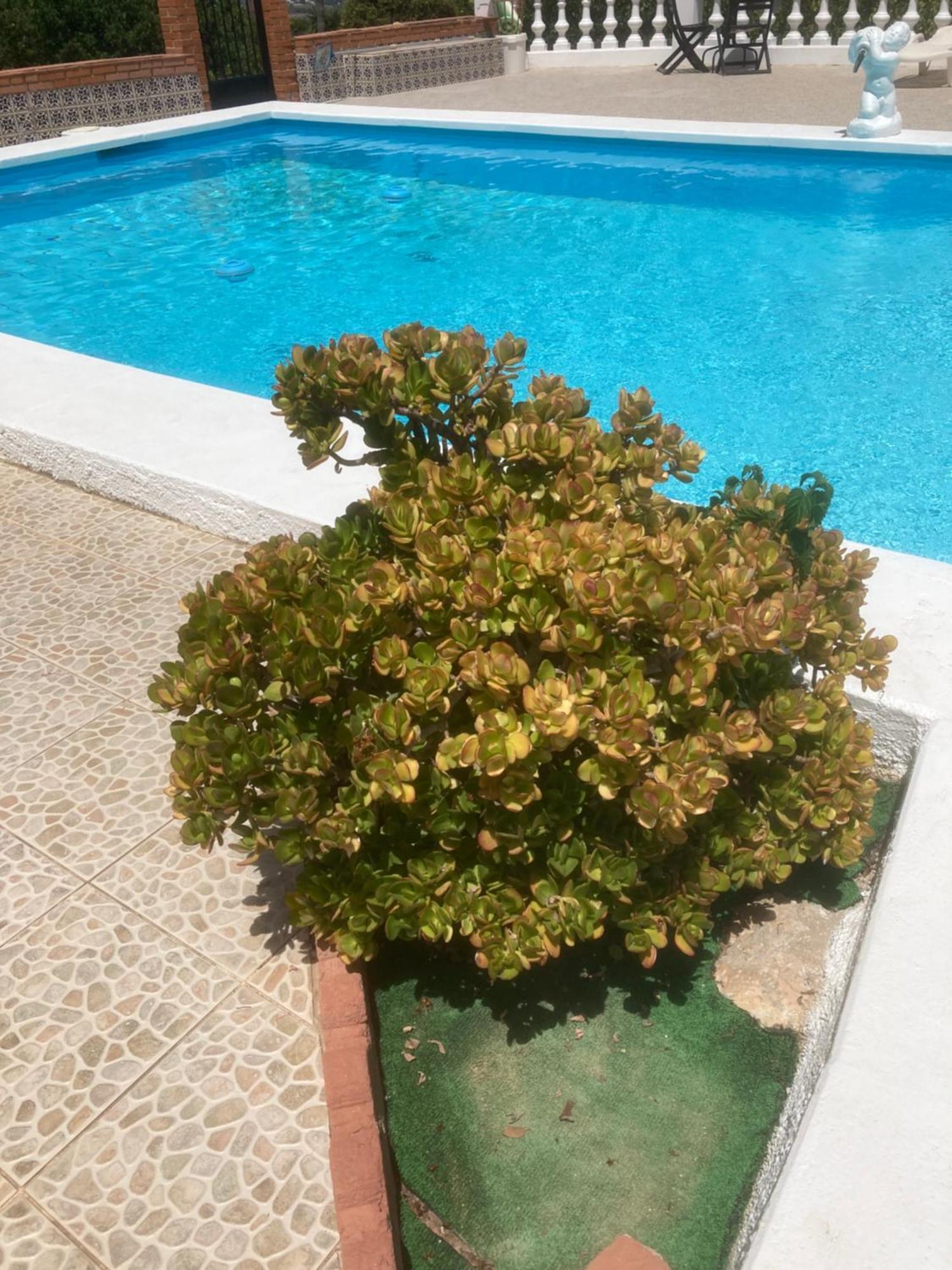Vakantieverblijf Villa Kluever Alhaurín de la Torre Dış mekan fotoğraf